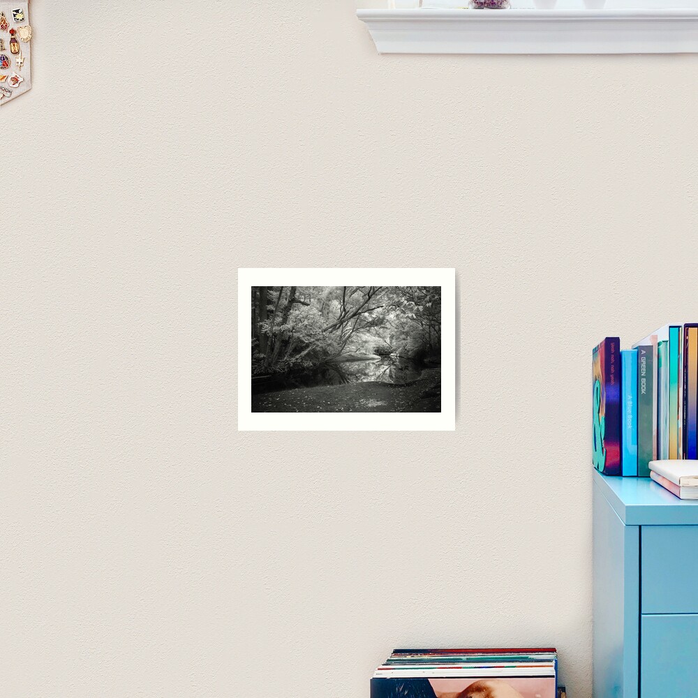 Reflecting infrared Art Print