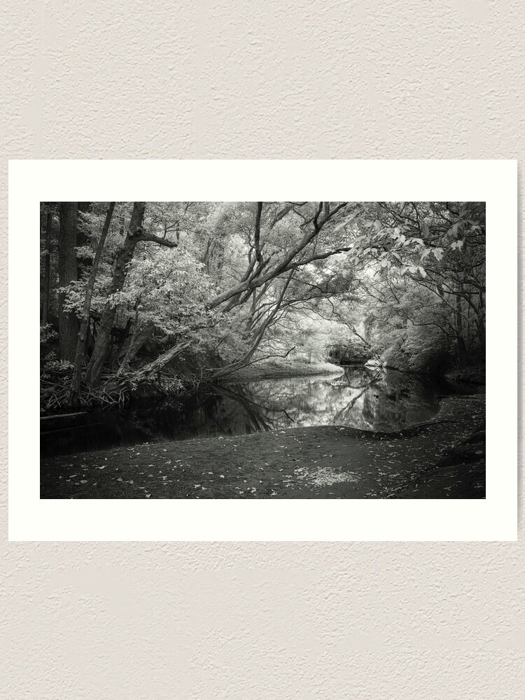 Alternate view of Reflecting infrared Art Print