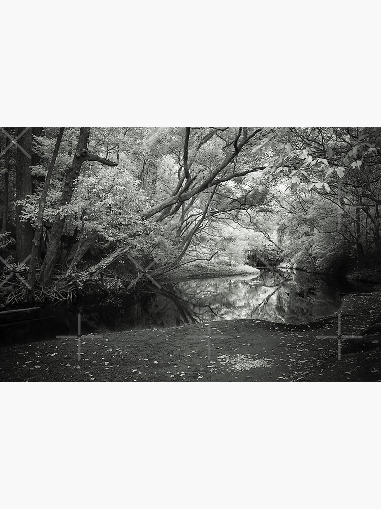 Reflecting infrared by MelBrackstone
