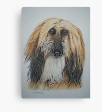 Bad hair day Canvas Print