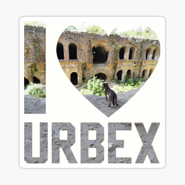 I love Urbex - abandoned fort Tarakanivsky in Ukraine with dog Sticker