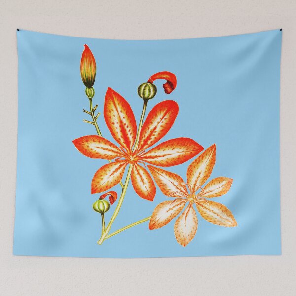 Item preview, Black Berry lily designed and sold by pracha.