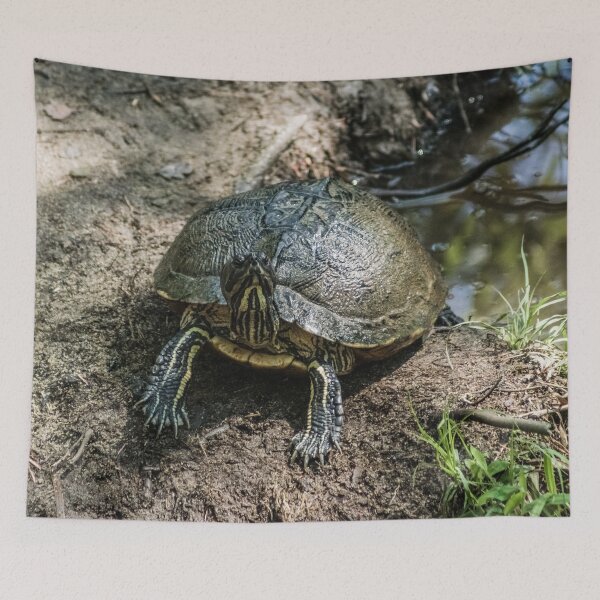 Item preview, Turtle Yellow-bellied Slider designed and sold by KensLensDesigns.