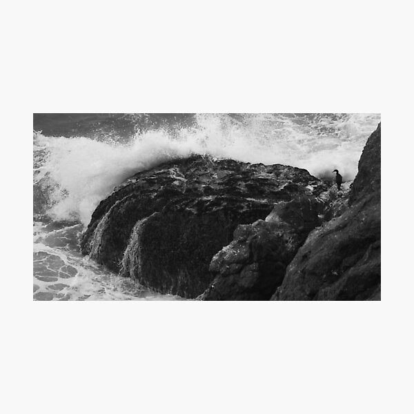 Crashing Wave, Hidden Bird Photographic Print