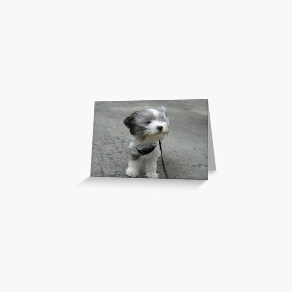 NICE BREEZE Greeting Card