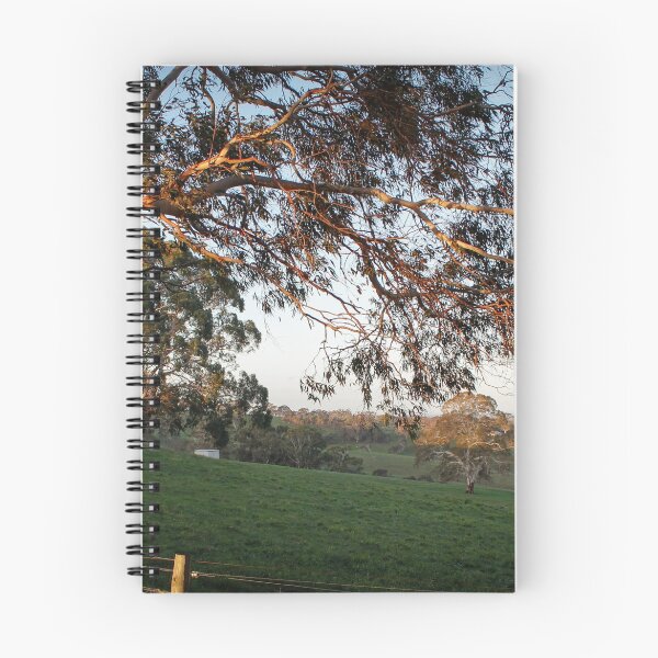 Item preview, Willcox Road, Bugle Ranges, South Australia designed and sold by Michael Humphrys.