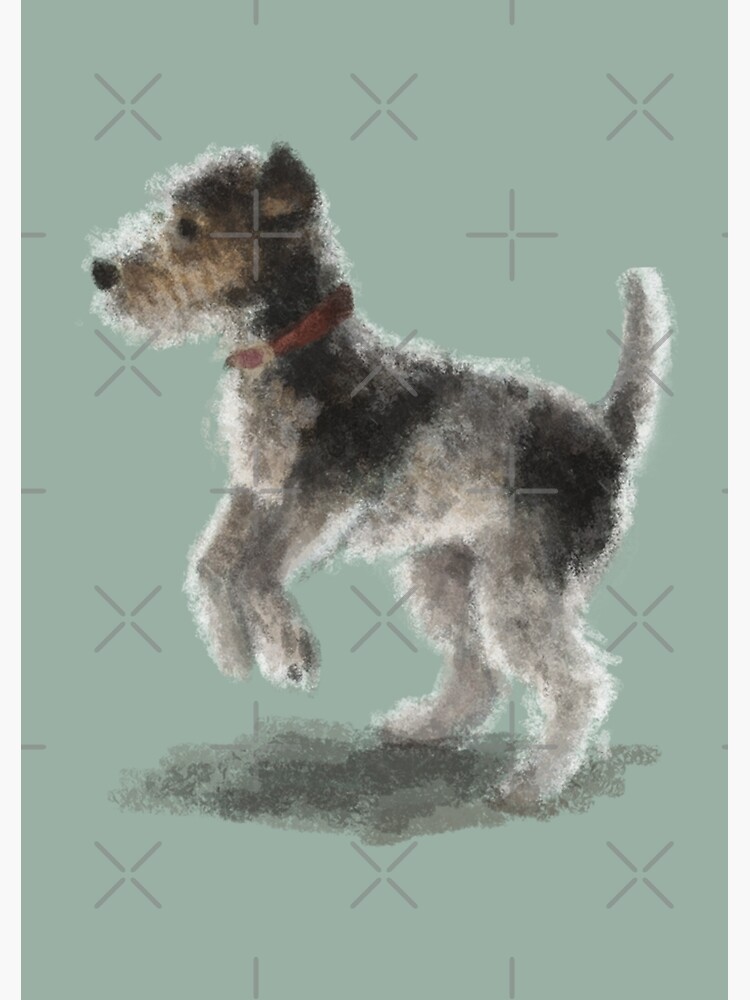 Fox Terrier by elspethrose