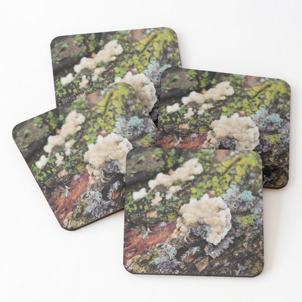 Item preview, Fungus on a Log designed and sold by Susie Kramer.