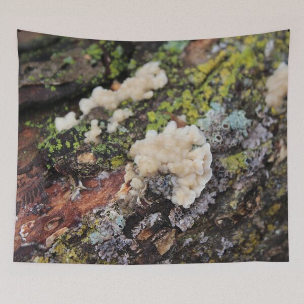 Item preview, Fungus on a Log designed and sold by Susie Kramer.