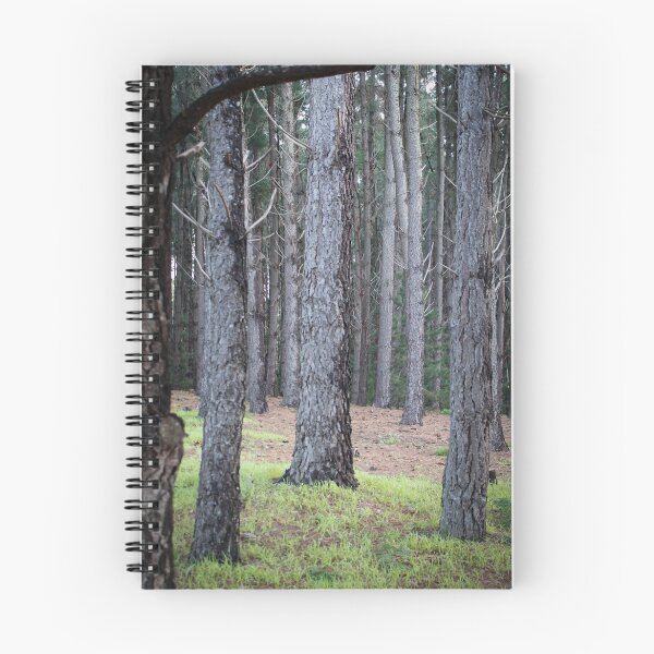 Item preview, Lacey Road, Bugle Ranges, South Australia designed and sold by Michael Humphrys.
