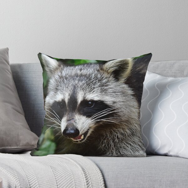 Item preview, racoon designed and sold by Glineur.