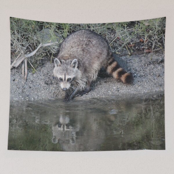 Item preview, Raccoon Dip designed and sold by Bob Hardy.