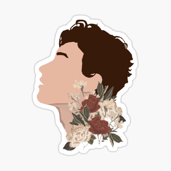 Shawn Mendes Gifts Merchandise Redbubble