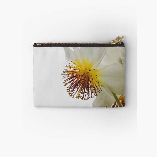 Item preview, Sparrmannia africana designed and sold by Feltonmackem.