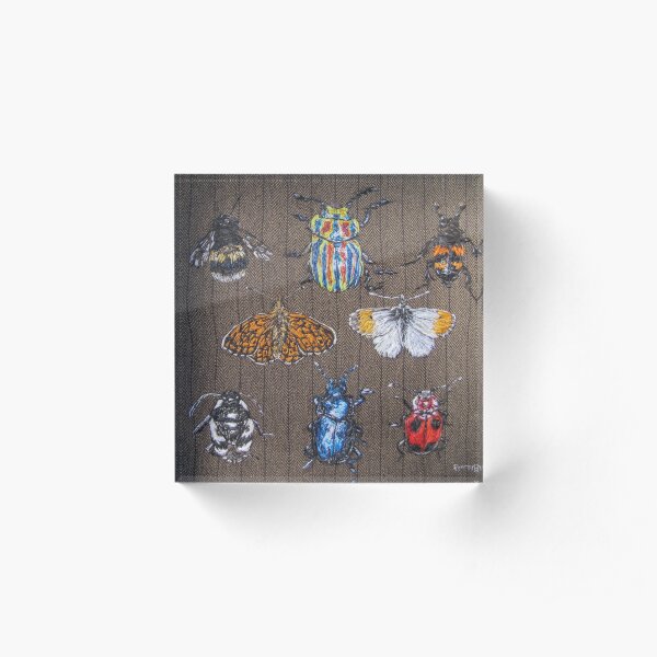 bug art Acrylic Block