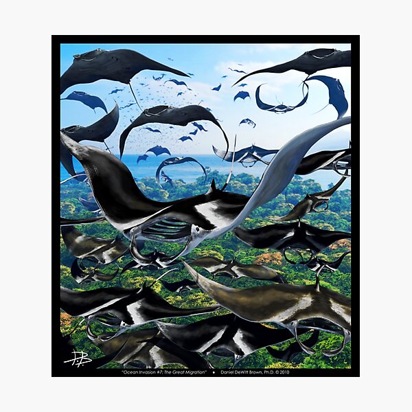 Ocean Invasion #7: The Great Migration Photographic Print