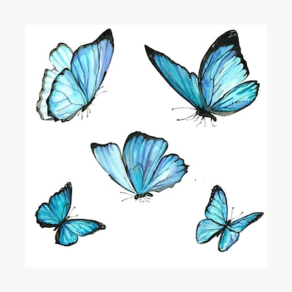 Featured image of post Electric Blue Dark Blue Aesthetic Wallpaper Butterfly : 776 aesthetic wallpaper stock video clips in 4k and hd for creative projects.