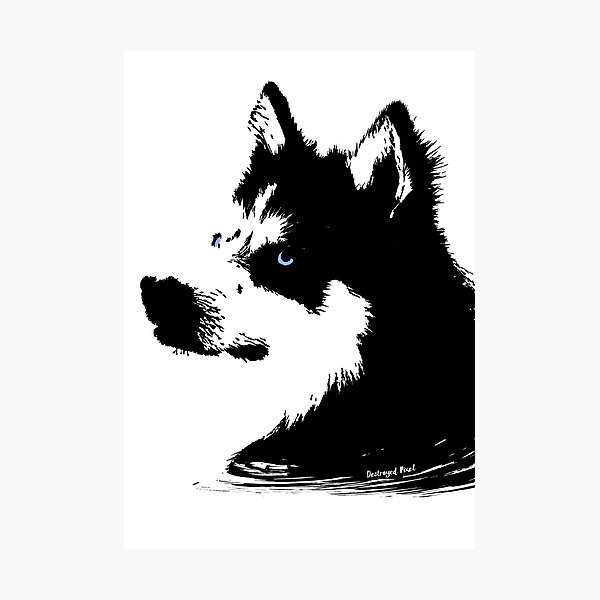 Item preview, Husky head with blue eyes designed and sold by Destroyed-Pixel.
