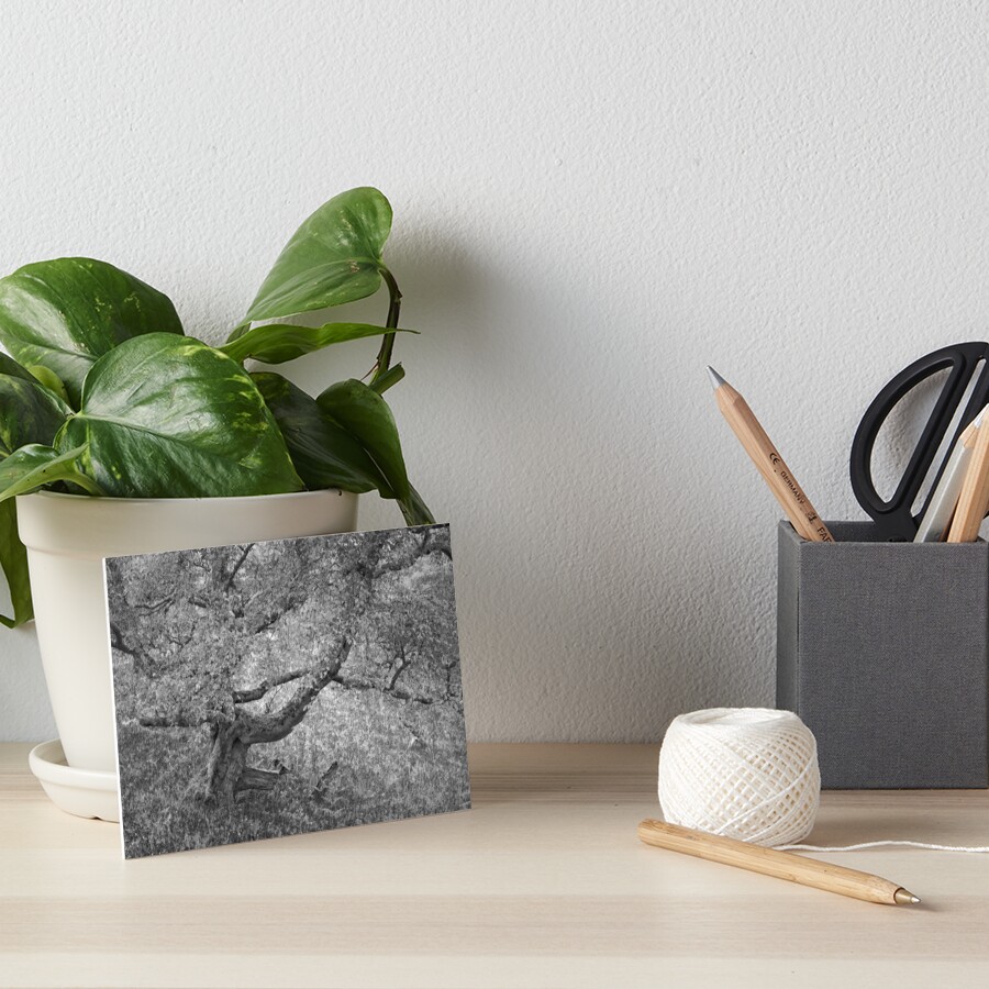 Item preview, Art Board Print designed and sold by ShinyPhoto.