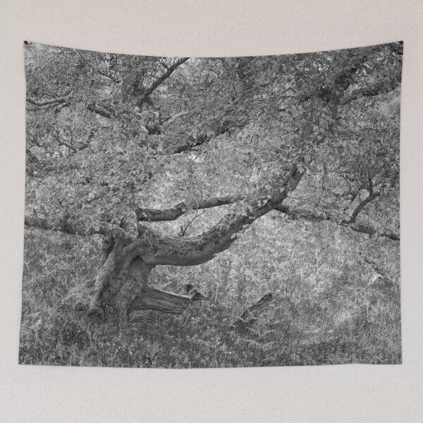 Item preview, Complexity designed and sold by ShinyPhoto.