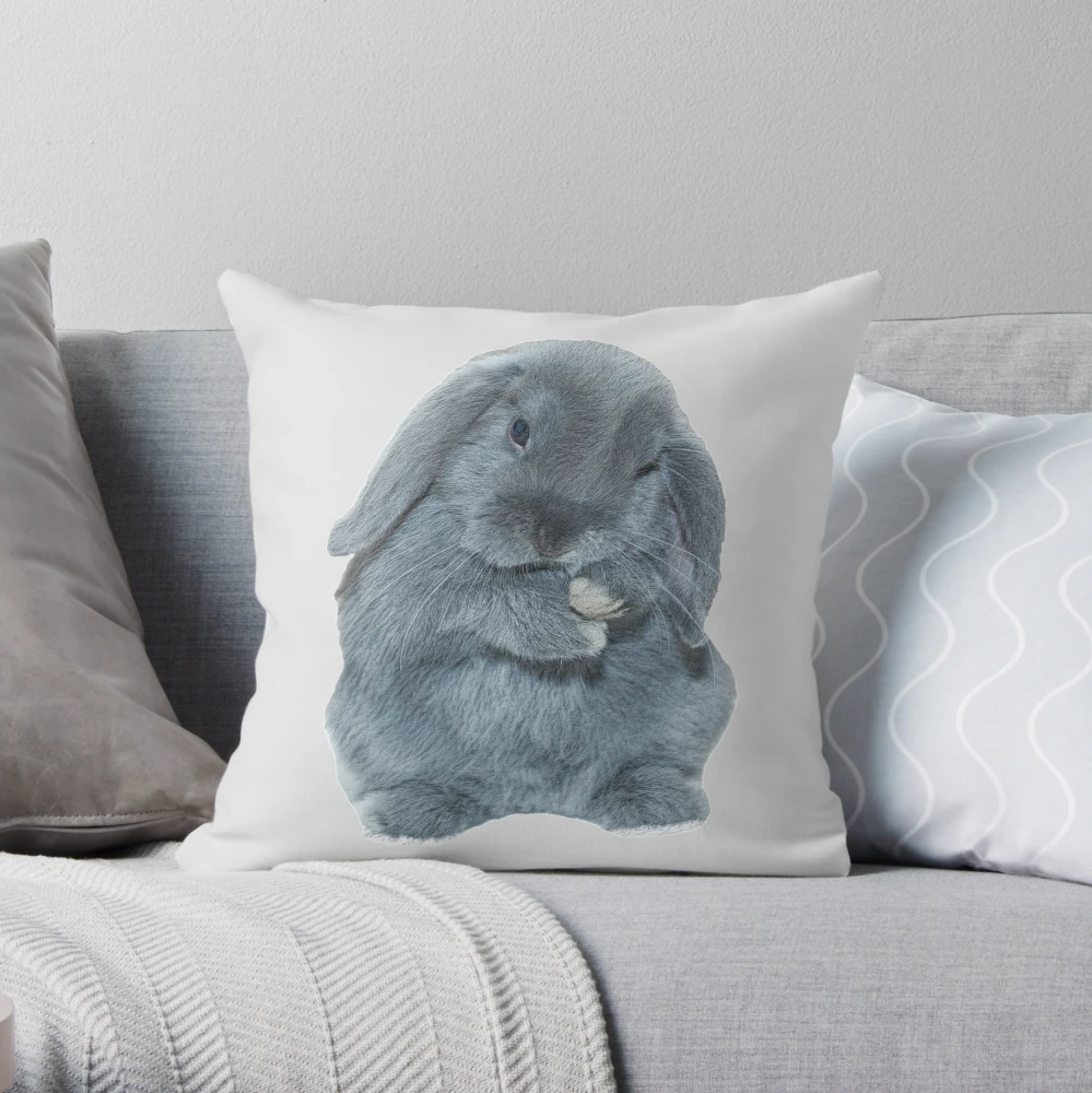 https://ih1.redbubble.net/image.832913091.8416/throwpillow,small,1000x-bg,f8f8f8-c,0,200,1000,1000.webp