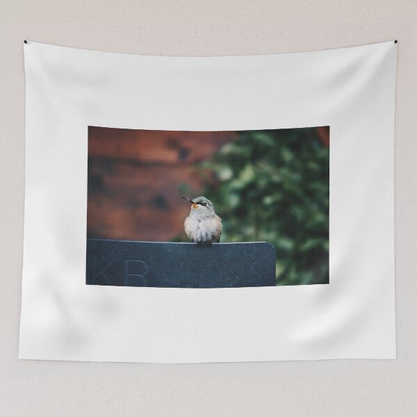 Item preview, Hummingbird | Mountain Photography designed and sold by hannah vail (@acharmingnotion).