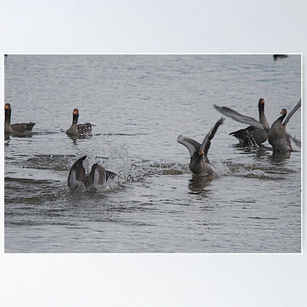 Item preview, Goose Fun designed and sold by dougie1page2.