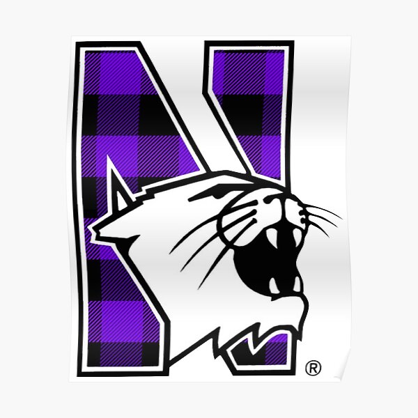 Northwestern University Posters Redbubble