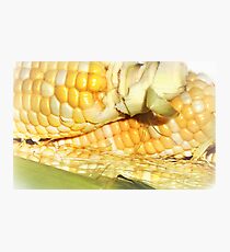 Harvest Gold Photographic Print