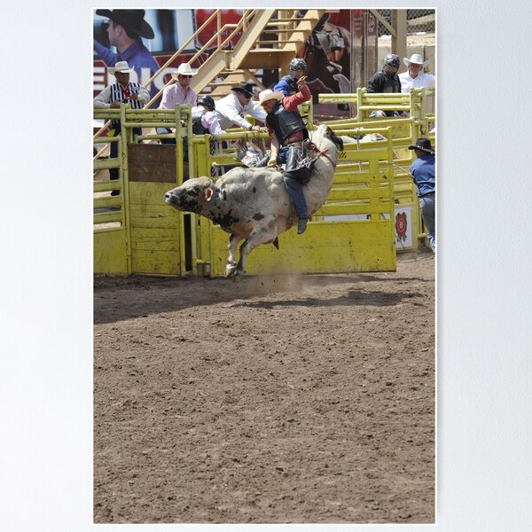 Item preview, Bull Riding 1 Pikes Peak or Bust Rodeo designed and sold by hedgie6.