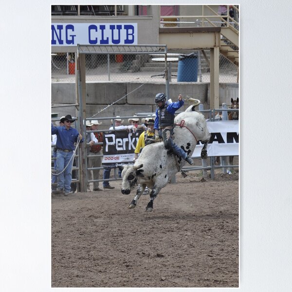 Item preview, Bull Riding 3 Pikes Peak or Bust Rodeo designed and sold by hedgie6.