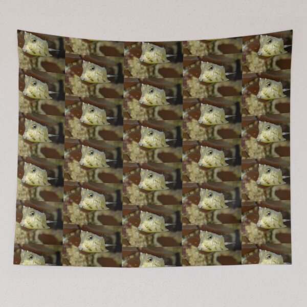 Item preview, Longhorn Cowfish designed and sold by imaginethis.