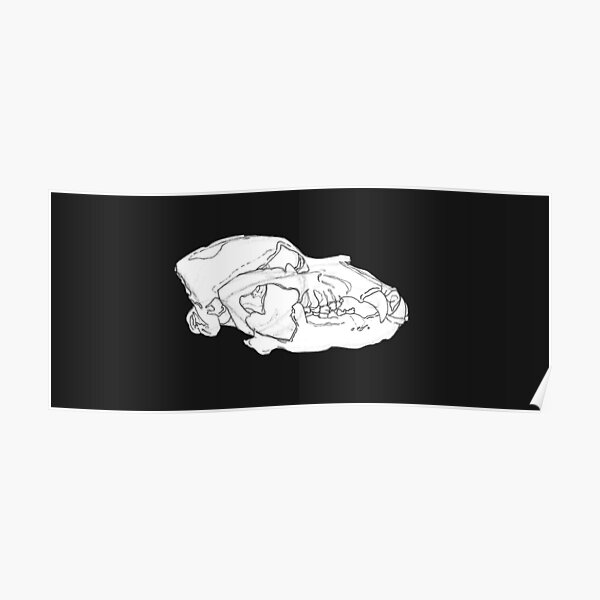 &ldquo;Grizzly Skulls (Perspective)&rdquo; Poster by oortemsia | Redbubble