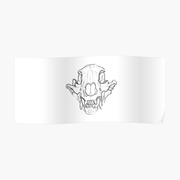 &ldquo;Grizzly Skulls&rdquo; Poster by oortemsia | Redbubble