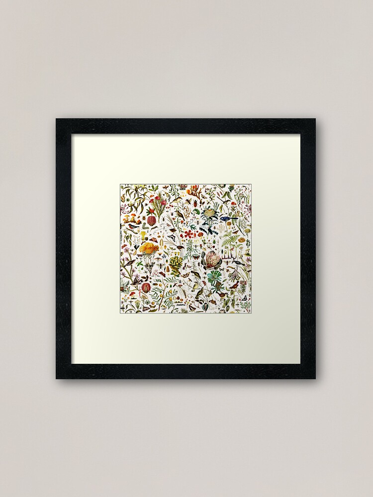 Thumbnail 2 of 7, Framed Art Print, Biology Australia. designed and sold by Leo Rolph.