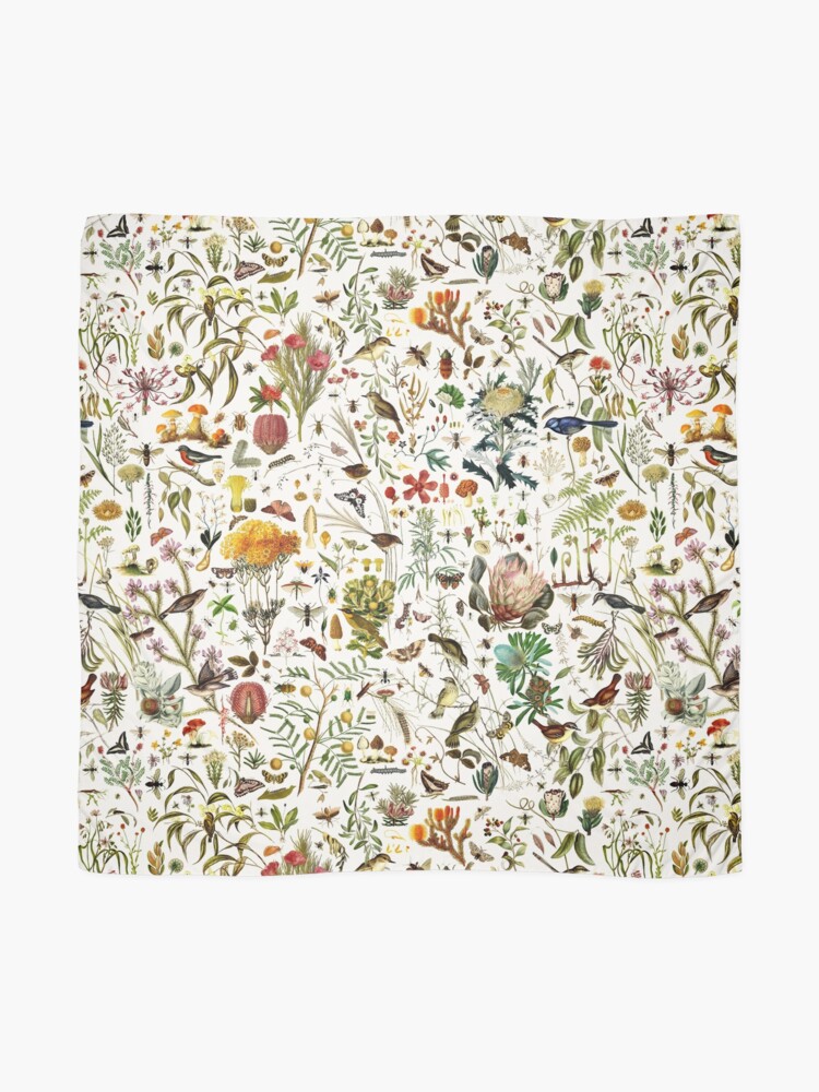 Alternate view of Biology Australia. Scarf