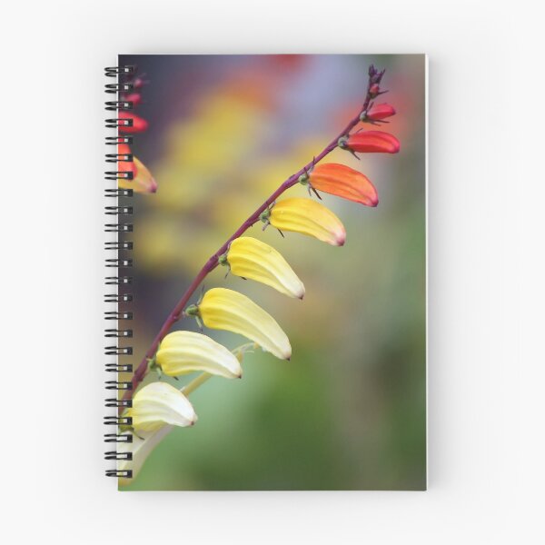 Item preview, Unknown Beauties designed and sold by Teresa Zieba.