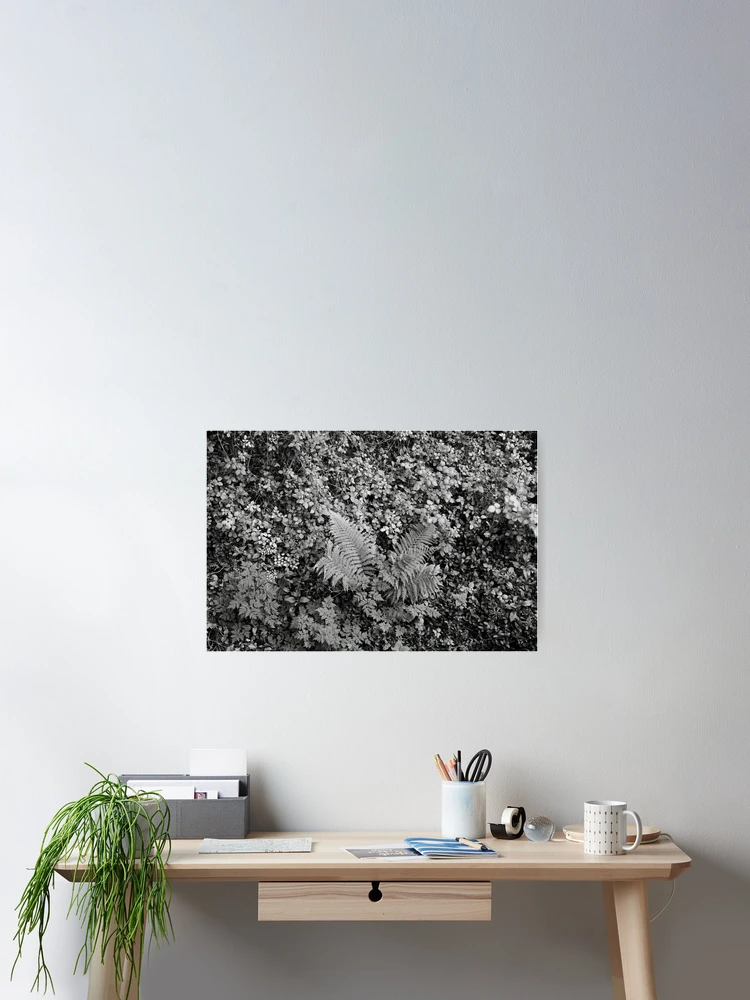 Thumbnail 2 of 3, Poster, Fern designed and sold by Rafael López.