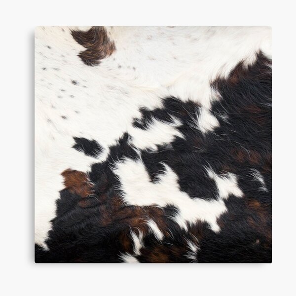 Cowhide Wall Art Redbubble