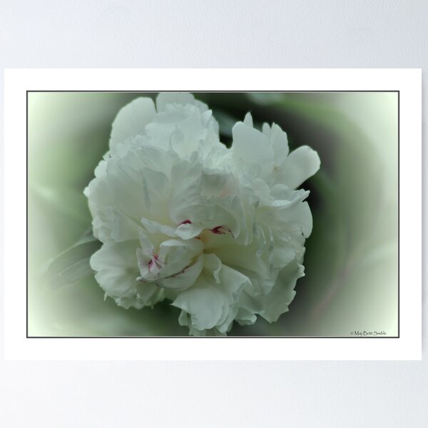 Item preview, "White Peony" designed and sold by Maj-Britt Simble.