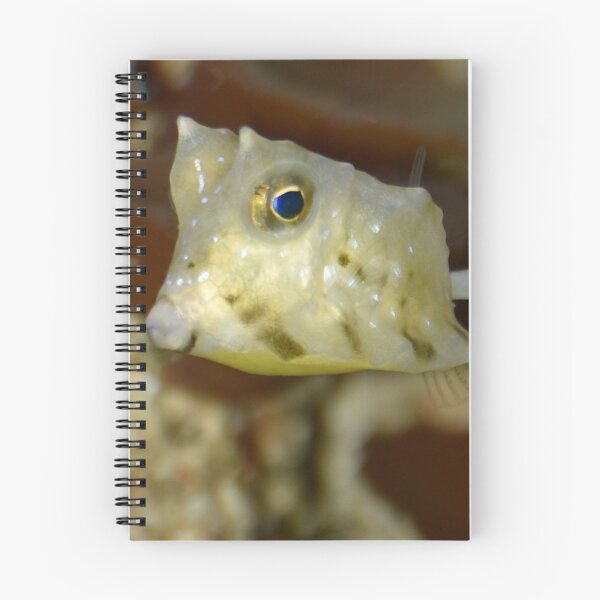 Item preview, Longhorn Cowfish designed and sold by imaginethis.