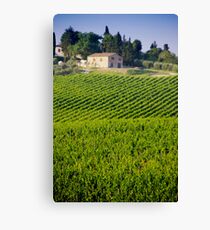 Chianti Canvas Print