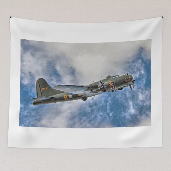 Item preview, "Sally B" - Shoreham Airshow 2014 designed and sold by Colin  Williams Photography.