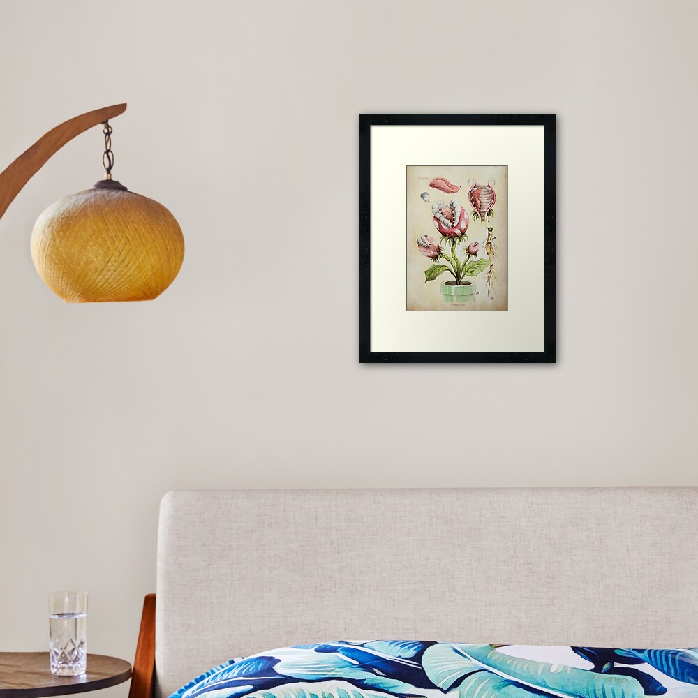 Piranha Plant Botanical Illustration Framed Art Print