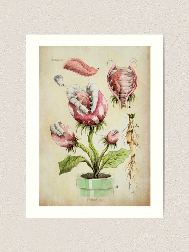 Alternate view of Piranha Plant Botanical Illustration Art Print