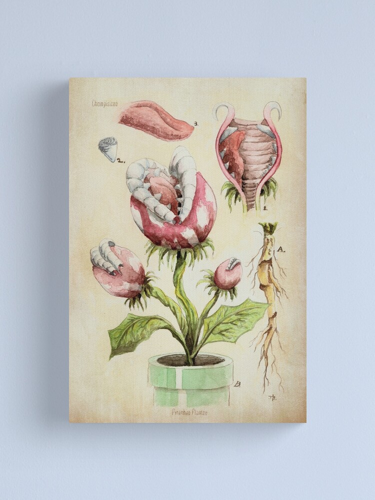 Alternate view of Piranha Plant Botanical Illustration Canvas Print