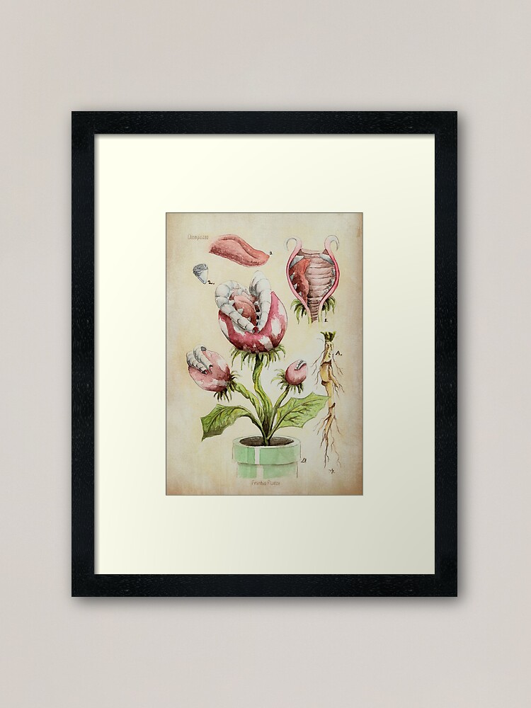 Alternate view of Piranha Plant Botanical Illustration Framed Art Print