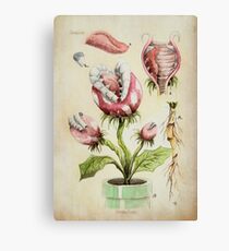 Piranha Plant Botanical Illustration Canvas Print