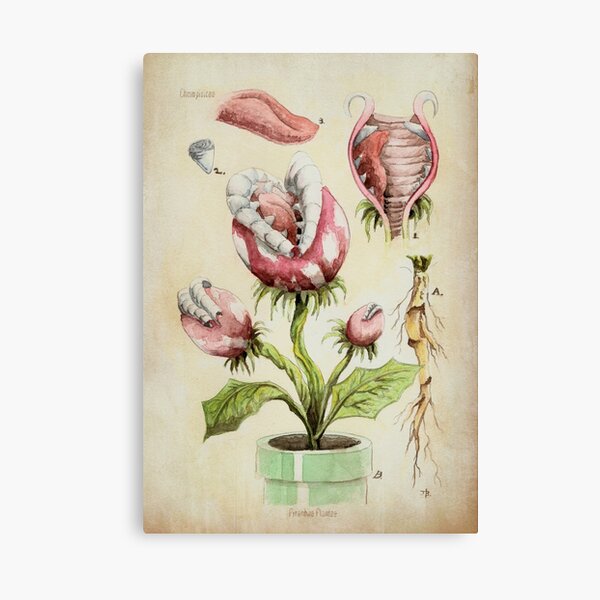 Botanische Illustration der Piranha-Anlage Leinwanddruck