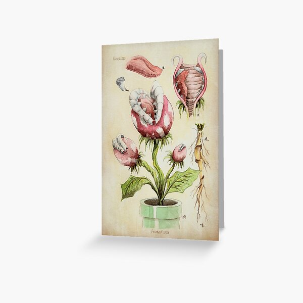 Piranha Plant Botanical Illustration Greeting Card